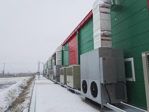 Грибные теплицы в Южной Корее